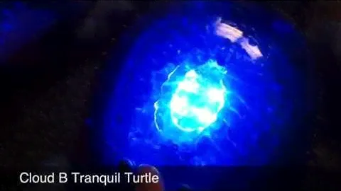 Tranquil Turtle by Cloud B Review