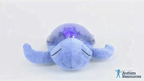 Tranquil Turtle