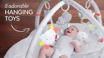 Skip Hop Silver Lining Babygym