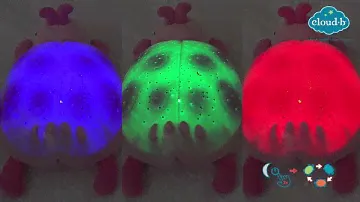 Twilight Ladybug - cloud b - demo video