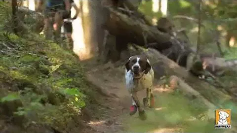 Ruffwear Fall & Winter 2013 Complete Product Overview | AvidMax